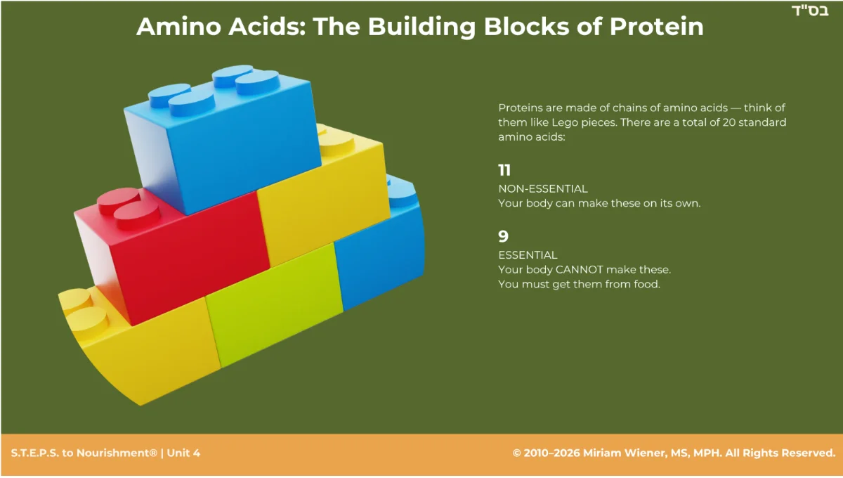 Unit 4 slide: amino acids, the building blocks of protein