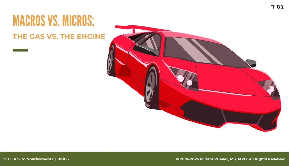 Unit 6 slide: macros versus micros