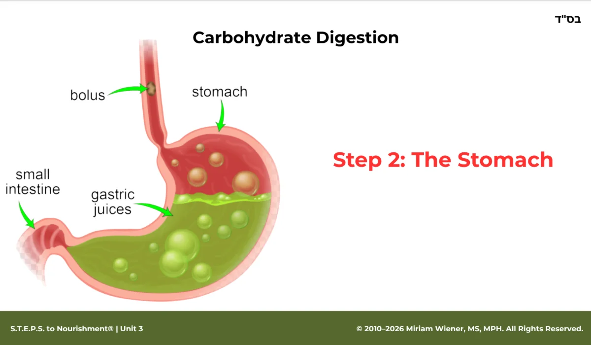 Unit 8 slide: welcome to nutrition class