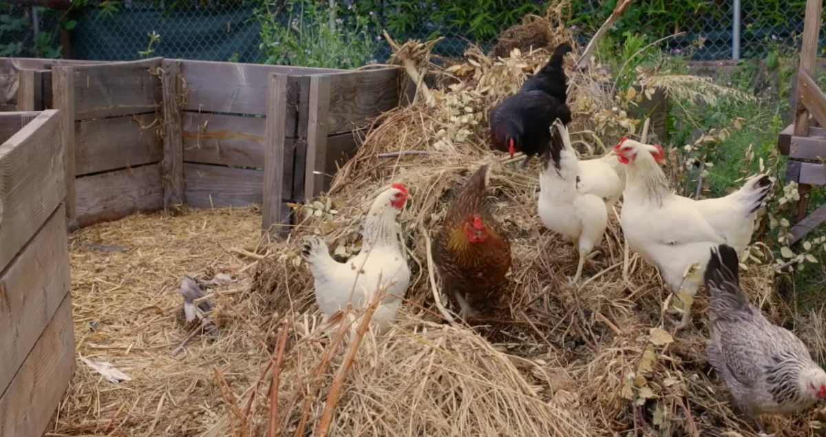 A scene from a licensed MasterClass film clip